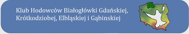 Klub Hodowcó Białogłówki gąbińskie, elbląskiej i gdańskiej