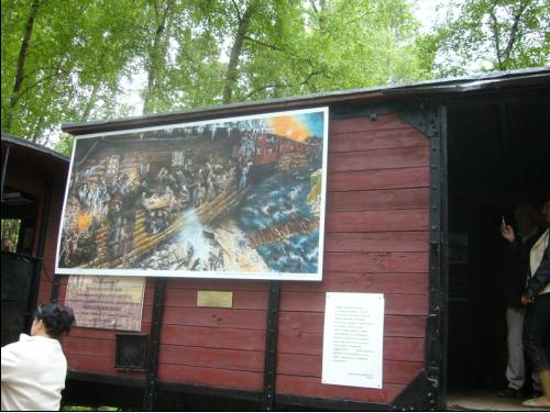 Kaszuby - 2013